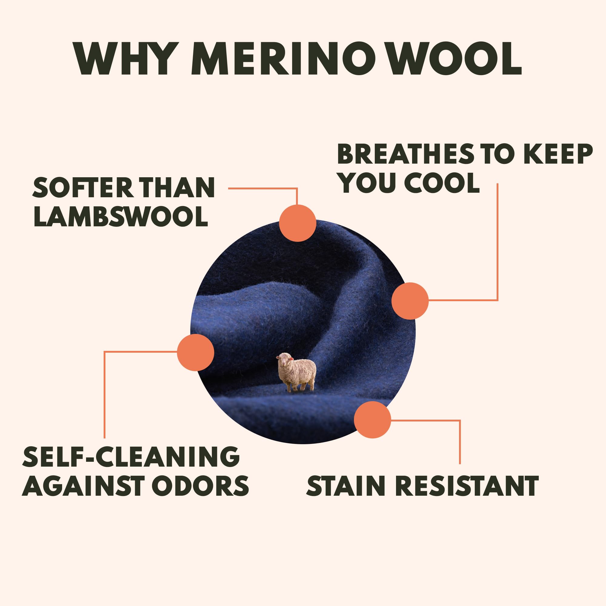 Amazon.com: Woolly Mammoth Woolen Company Merino Wool Blanket - 80